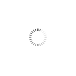 loading.bax-shop.nl.gif