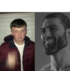 average_fan_vs._average_enjoyer.png