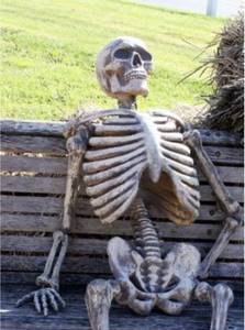 waiting_skelleton.png