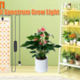 environmentalism_creating_a_hydroponics_bay_for_growing_plants_growing_lights.png