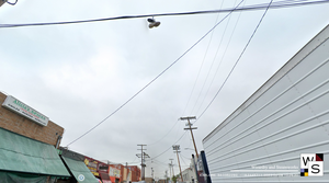 explore_earth_the_abandoned_shoes_of_san_francisco_spicy_sneakers.png