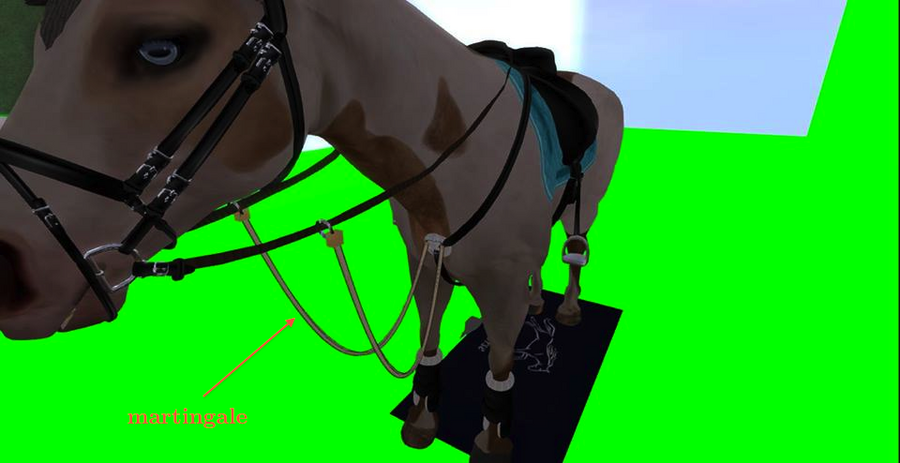 secondlife_horse_martingale.png