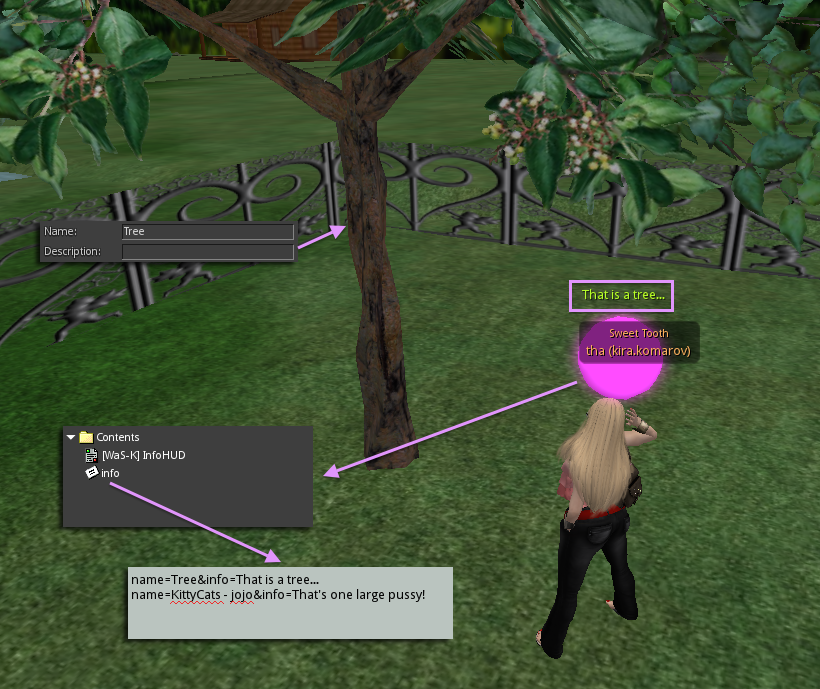 secondlife_information_heads-up_display.png